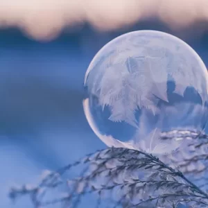 Winter Wonderland